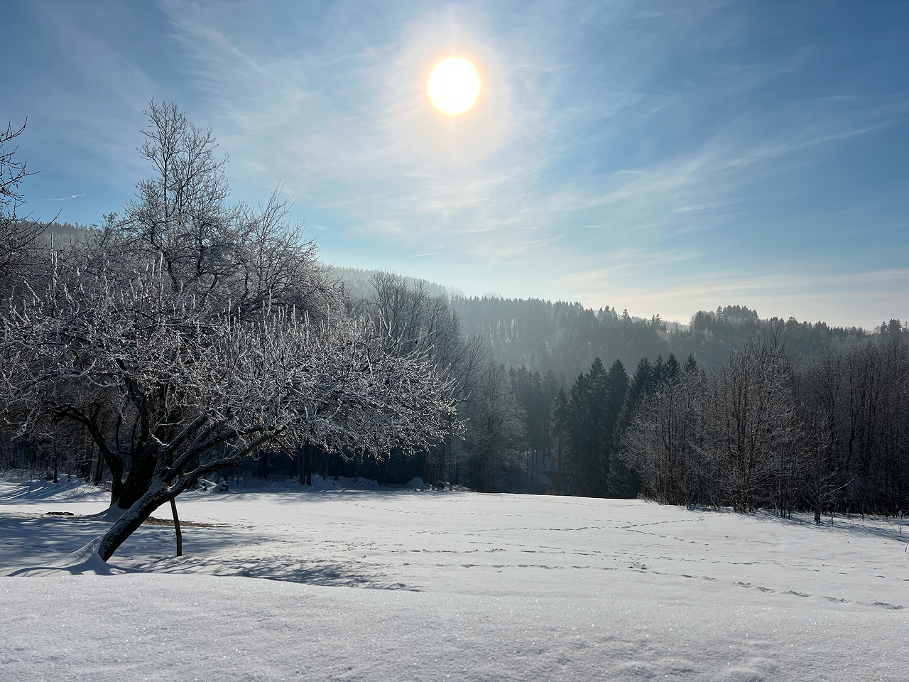 Výhled z chaty na přírodu Výhled z chaty na přírodu